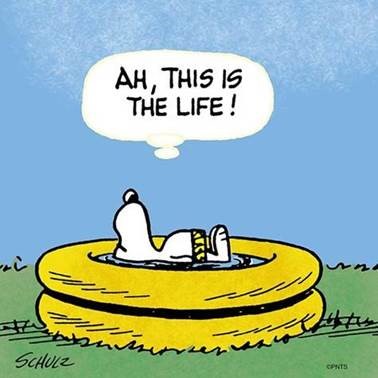 This is the Life klein