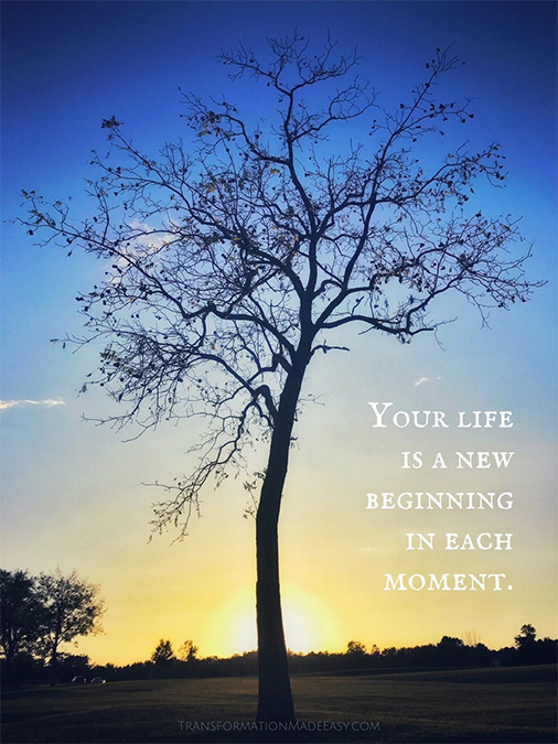Your Life