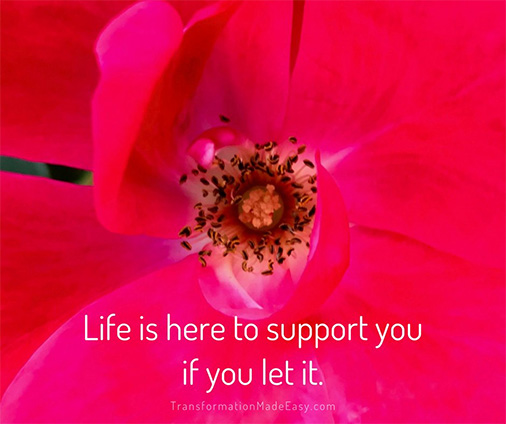 Life is here ...