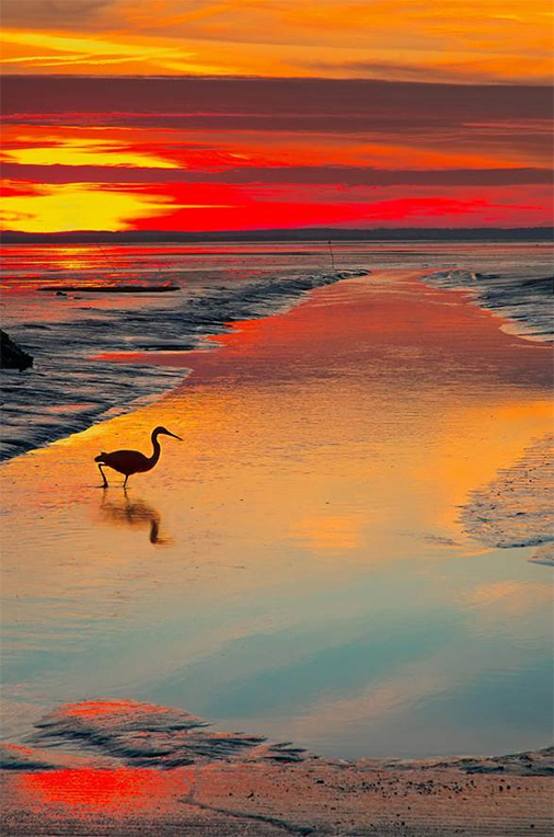 Meer